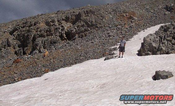 schofield-71104-002.jpg Snow on Italian Creek 7/11/04