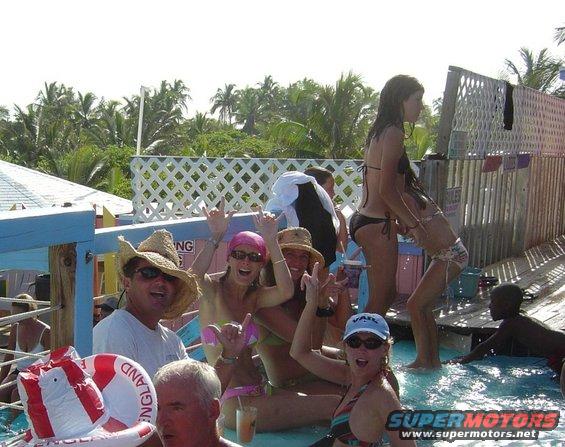 People in swimwear at a pool party with palm trees in the background