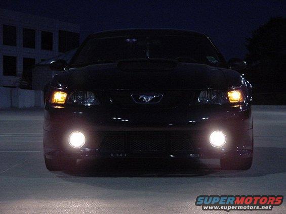 carlos08.jpg Shot in Austin