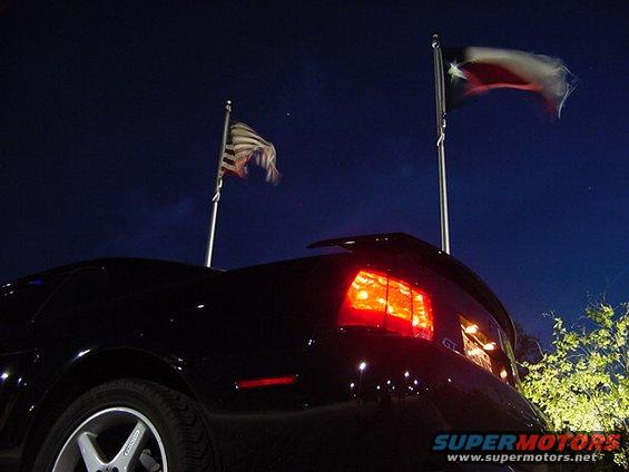 carlos19.jpg Shot in Austin