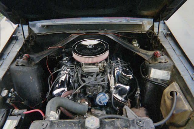 1st-week-under-hood.jpg At least the engine looked kinda pretty!