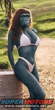 swamp-ape.jpg 