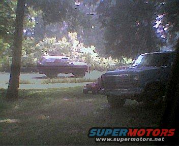 graybronco.jpg This dude lives behind my house.