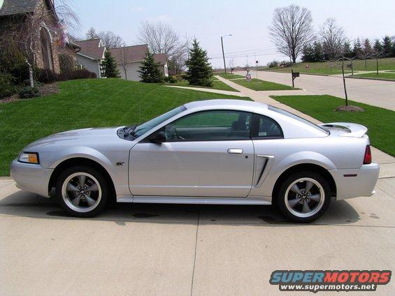 00stang5.jpg 