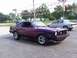 1978 Ford Mustang II - A purple 1977 Ford Mustang II coupe is parked in front of a dealership with another car visible behind it.
