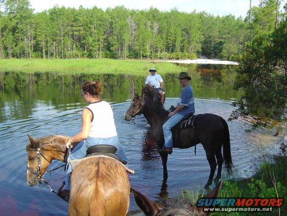 Three people on horseback wade through a shallow body of water with trees in the background
