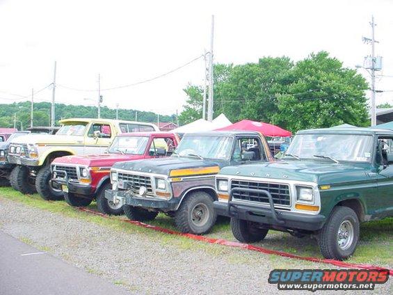 Green Ford truck with black bull bar, parked in a line with other trucks