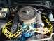 1978 Ford Mustang II - Close-up of an engine bay Cobra valve covers and yellow spark plug wires.