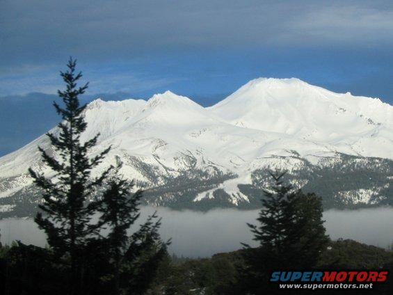 Snowy mountains and pine trees with a layer of fog below