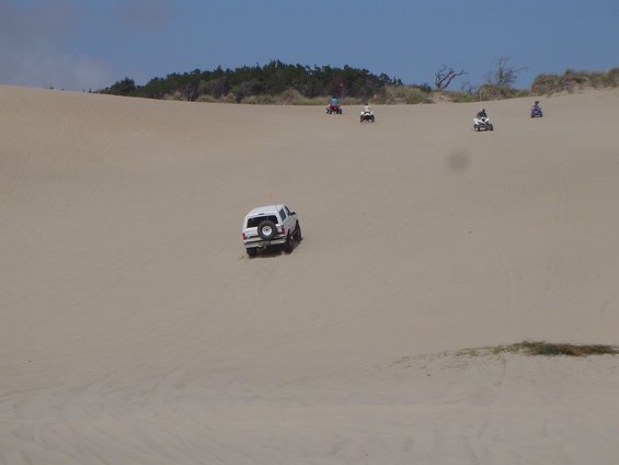 dsc00317.jpg Alvie chasing some quads