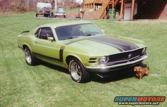 1970 Ford Mustang Boss 302 parked on grass with a dachshund puppy nearby