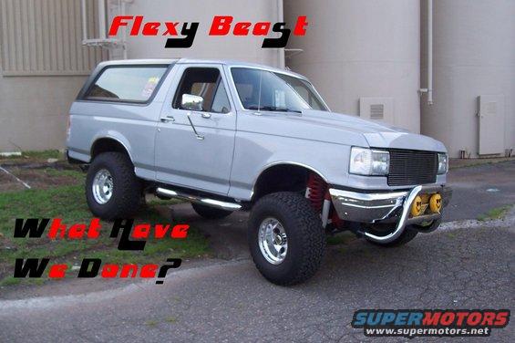 flexy2.jpg 