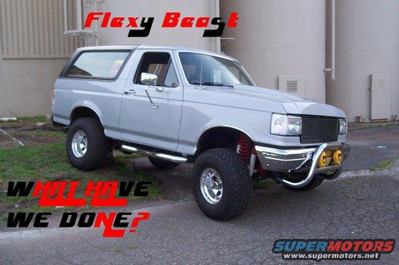 flexy3.jpg 
