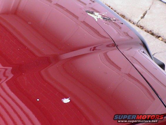 jul29200406.jpg July 29, 2004 - 06