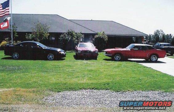 Red 1969 Ford Mustang fastback parked on grass with two other Mustangs