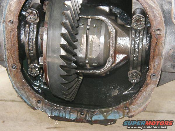 close-up of vehicle differential gears and housing