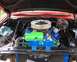 1964 Ford Galaxie - Feelin Froggy