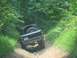 1988 Ford Bronco - Off-road vehicle navigating a rocky dirt path surrounded by dense green foliage.