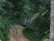 1988 Ford Bronco - A dark blue 1992 Ford Bronco navigates a winding dirt path through a dense forest.