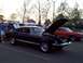 1999 Ford Taurus - Shelby GT350