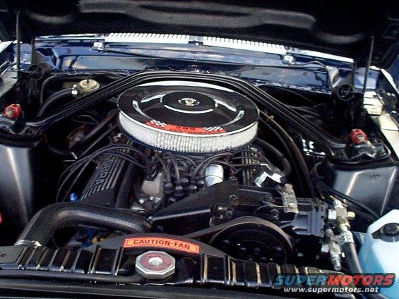 Shelby GT350 289 HIPO V8