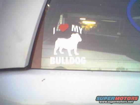 i-love-my-bulldog.jpg 