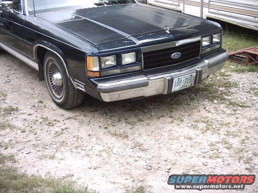 bumper3.jpg 
