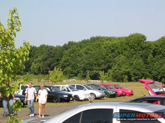 Line of cars parked on grass with trees in background