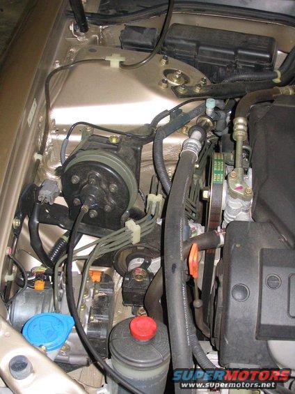 Engine bay with hoses, belts, and reservoirs visible
