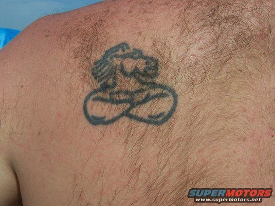 100_0174--tattoo.jpg tattoo