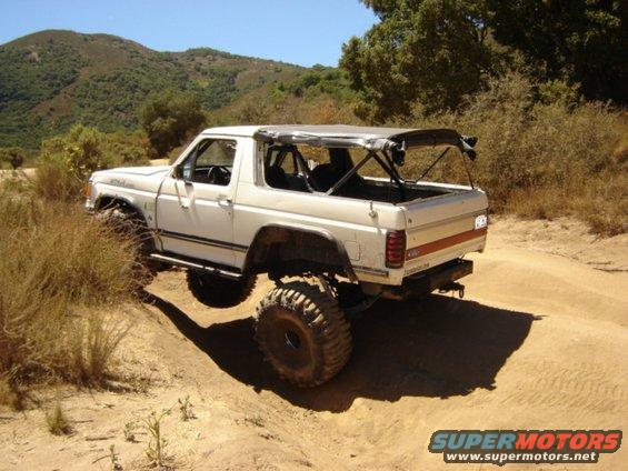 picture-013.jpg flex is good.