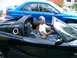 1993 Ford Probe - lotus in