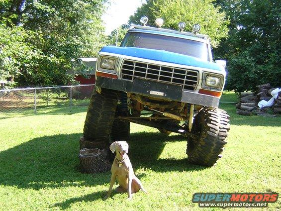 1979 Ford Bronco lifted high on massive tires, parked on grass with a dog sitting in front