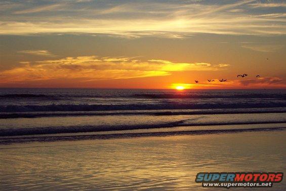 dcp_0608.jpg (8/8/2004)