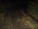 DSC00496.JPG