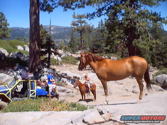 Blue and yellow off-road vehicle with people and horses in a rocky, wooded area