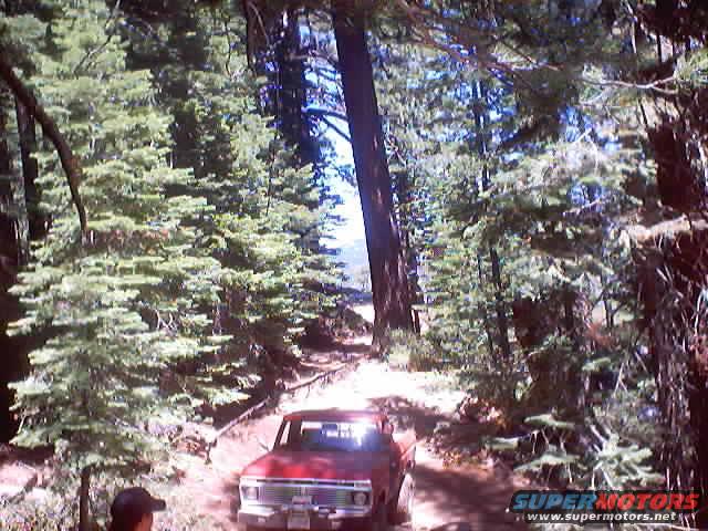 Red pickup truck, 1970s model, front view, driving on a dirt road through a forest
