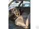 1988 Ford Bronco II