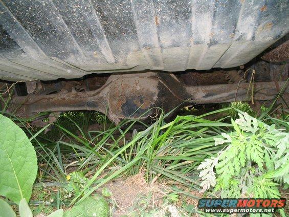 Underside view of a vehicle's rear axle and fuel tank, with grass growing around it
