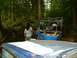 1990 Ford Bronco - Off-road vehicles are parked on a forest trail with people inside.