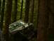 1990 Ford Bronco - An off-road vehicle navigates a dense forest, its front end angled between two large trees.