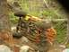 1990 Ford Bronco - An overturned off-road buggy lies on its side amidst trees and debris on a rough trail.