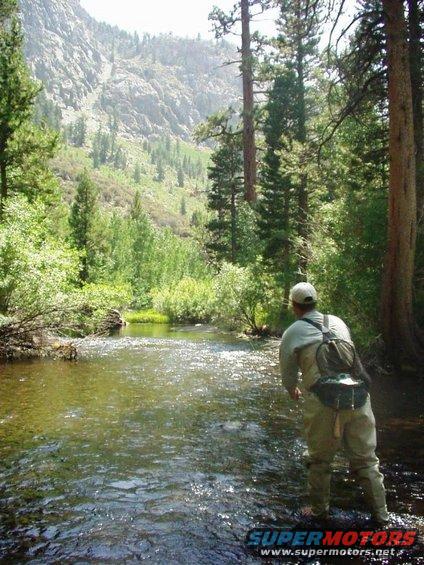 Man in waders fishing in a sun-dappled river with trees and mountains in the background