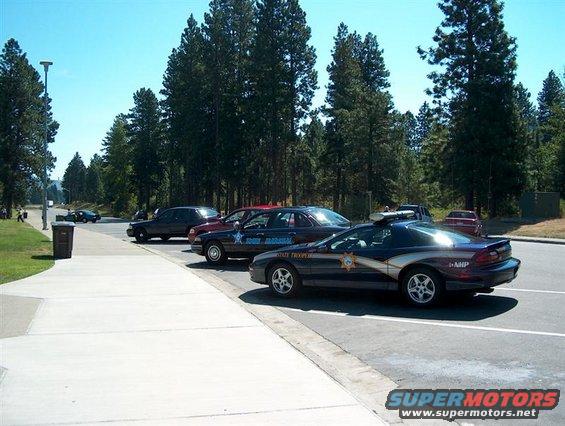 Several police cars, including a Chevrolet Camaro, parked on a sunny day