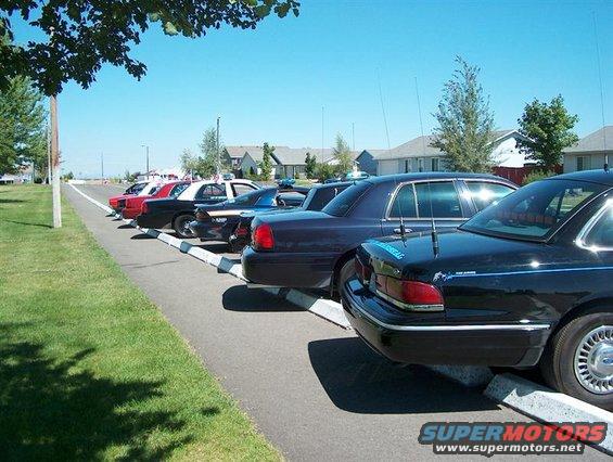 Several police cars parked in a lot, including a black Crown Victoria with a blue stripe