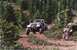 1990 Ford Bronco - White Jeep CJ-7 navigates a dusty trail through a forest, with a driver visible.