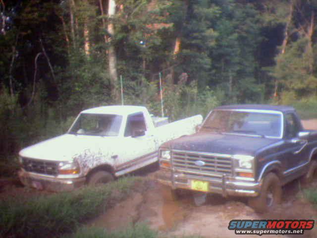Two Ford pickup trucks stuck in mud, one white and one dark blue