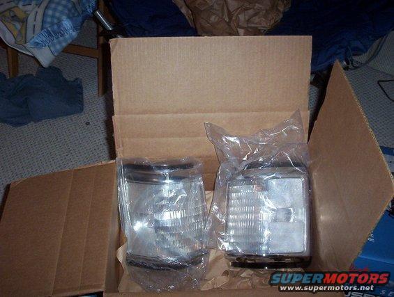 Two clear headlight assemblies in plastic packaging inside a cardboard box