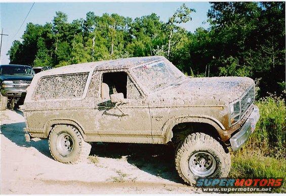 mudridin81404.jpg 