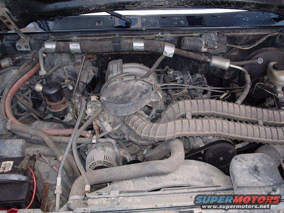 Engine bay with V8 engine components and hoses